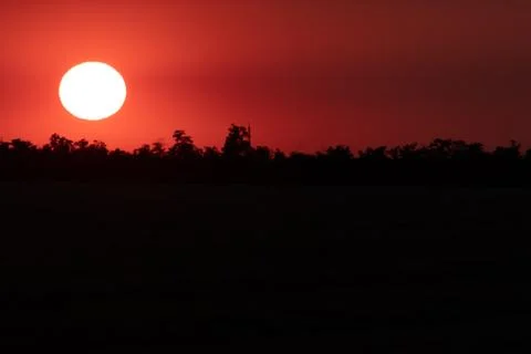 Fiery red sky with a large round sun is depicted on the left above the trees 库存照片