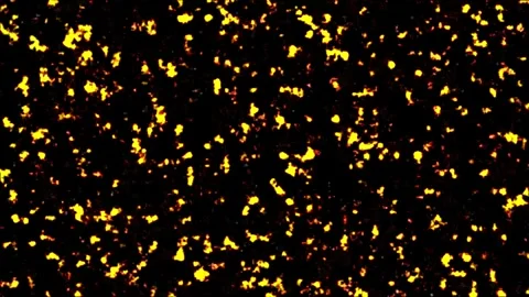 Fiery Ring Animation | Burning Flame Circle VFX Motion Graphics Overlay Stock Footage 340223644