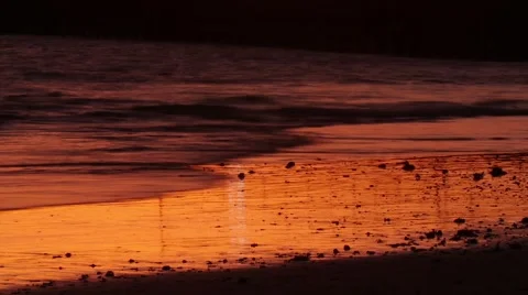 Fiery Shoreline Timelapse Stock Footage 55455451