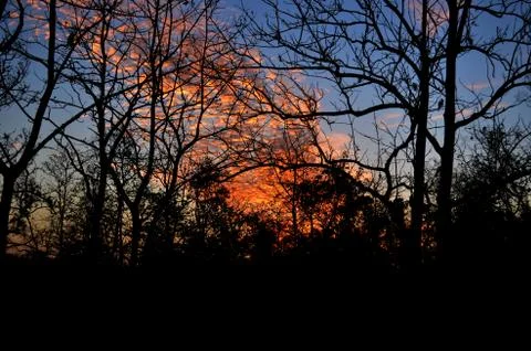 Fiery Sky Stock Photos