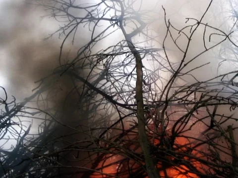 Fiery Smoke Stock Footage 489906