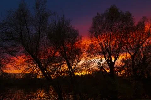 Fiery sunset in autumn, with bare tree silhouettes in the foreground Stock Photos