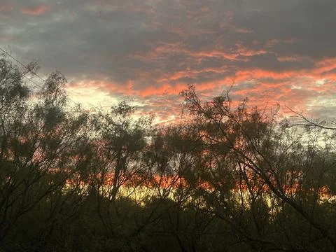 Fiery Sunset Clouds Above Tree Silhouettes Stock Photos