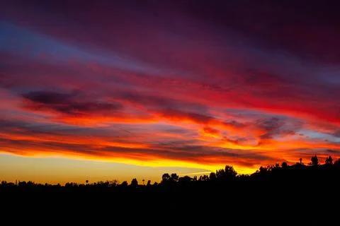 Fiery sunset clouds stretch across the sky above silhouetted treetops Stock Photos