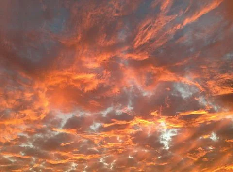 Fiery sunset with orange clouds Stock Photos