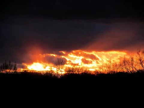 Fiery Sunset Over the Forest Stock Photos