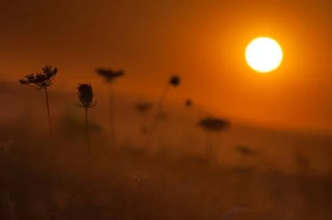 Fiery Sunset Foto stock