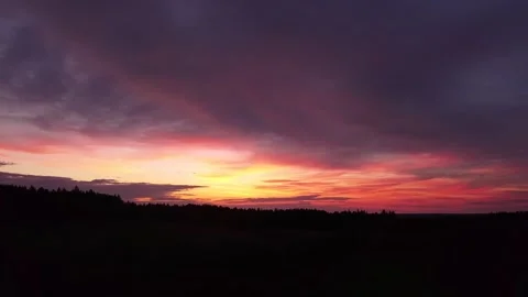 Fiery sunset, sideward right movement before Silhouette of trees, drone shot. Stock-Footage 140221319