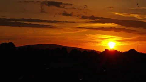 Fiery Sunset Sky With Birds in Flight Over Distant Hills Stock Footage 256315546