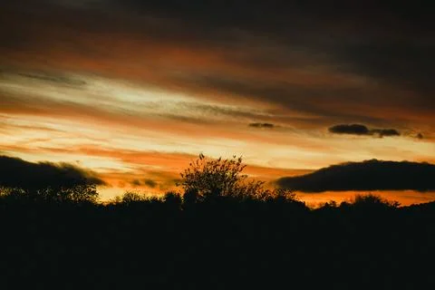 Fiery sunset sky clouds. Dramatic cloudscape and contrast trees silhouette Stock Photos