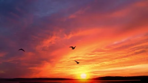 Fiery Sunset Sky with Coastal View. Stock Footage 304975039