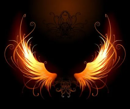 Fiery wings. Stock Illustration
