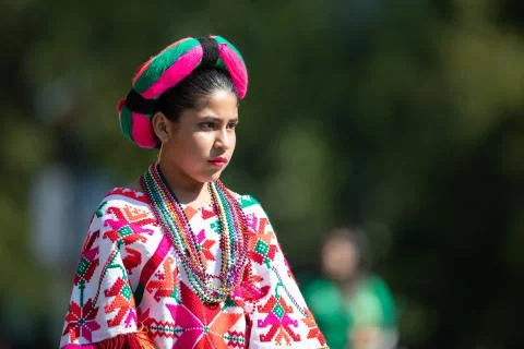 The Fiesta DC Parade Stock Photos