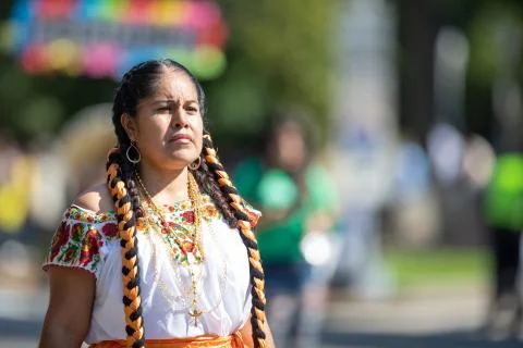 The Fiesta DC Parade Foto stock