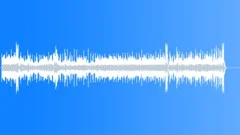 Fiesta Siesta Stock Music
