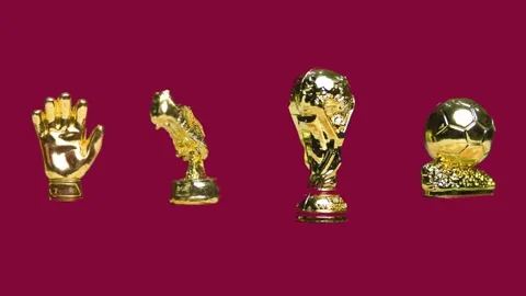 Fifa Award Stock Footage 218636832