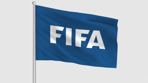 FIFA Flag Stock Footage 229642167