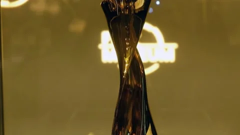 Fifa Women's World Cup Stock Footage 200843365