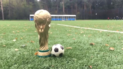 FIFA World Cup Stock Footage 221587748