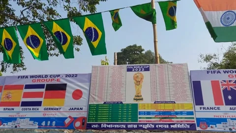 Fifa World cup schedule 2022 and flags are observed  by a fan. Stock Footage 221828608
