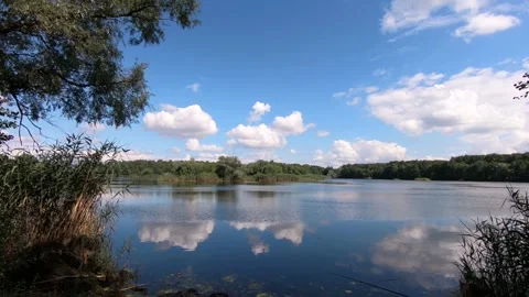 The fifth lake in the forest. Stock-Footage 136670956