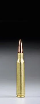 Fifty Caliber Bullet. Stock Photos
