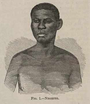"Fig. 1 - Negrito" The phrenological journal, 1870. Stock Photos
