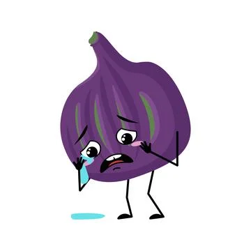 Fig character with crying and tears emotion Stock Illustration