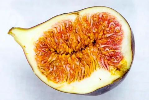 Fig Cross Section Closeup Stock Photos