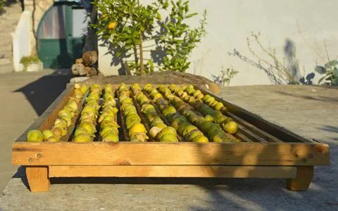 Fig Drying Tray Stock Photos