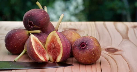 Fig Stock Footage 139119050