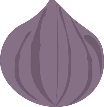 FIG fruit イラスト素材
