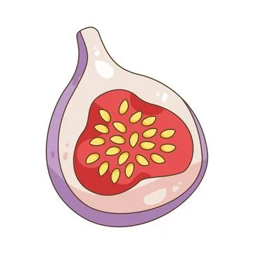 Fig fruit Illustrazione stock