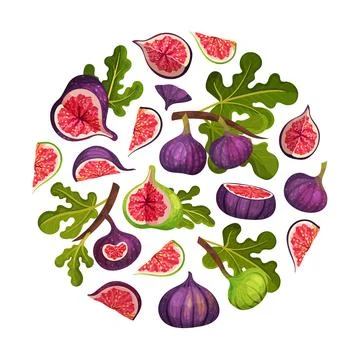 Fig Fruit Round Composition with Green Leaf Vector Template Stock Illustration
