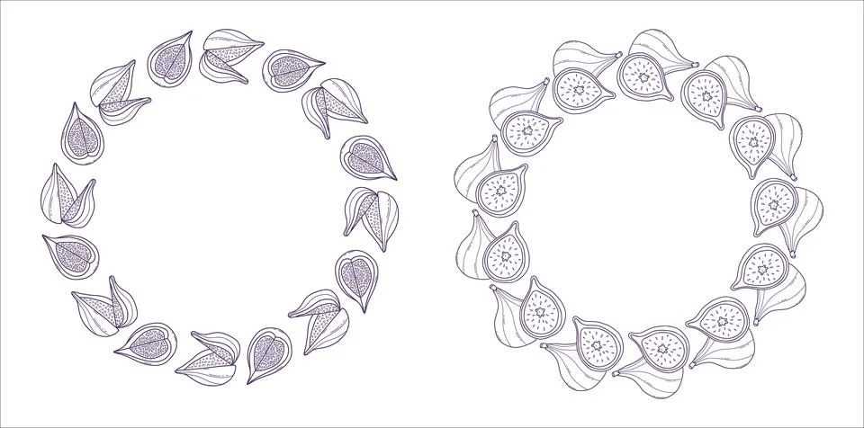 Fig Fruit Round Frame Set. Wreath with with Whole Figs and Cut Halves. Hand.. 库存插图