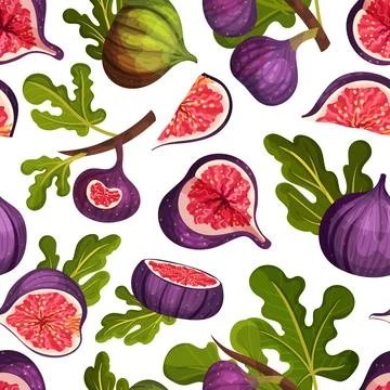 Fig Fruit Seamless Pattern Design with Green Leaf Vector Template 스톡 일러스트
