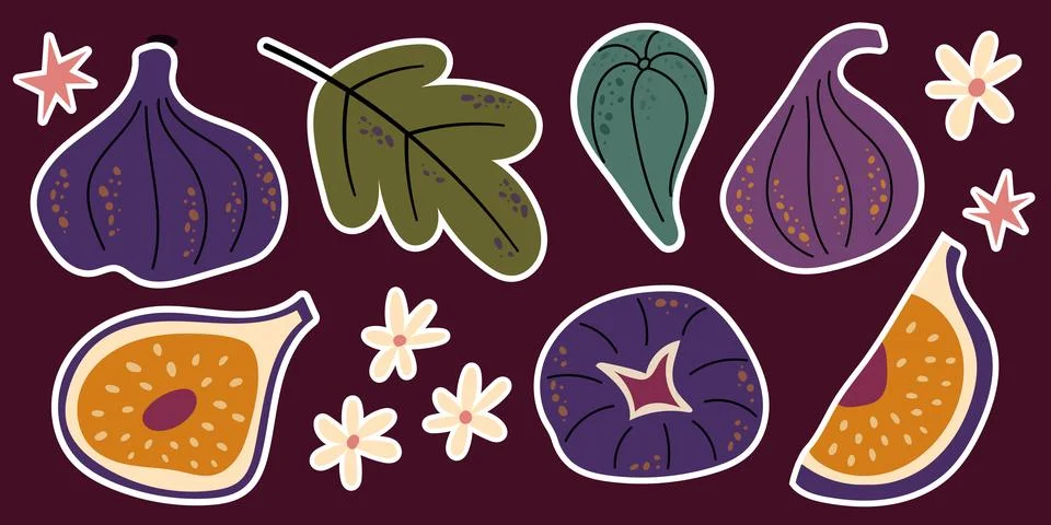Fig Fruit Sticker Set with Whole and Sliced Figs Flowers and Green Leaves V.. Stock Illustration