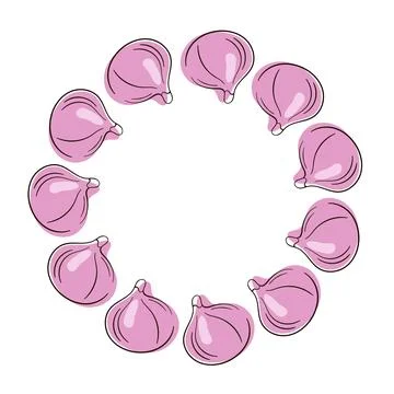 Fig fruit wreath in flat style. Hand drawn illustration Isolated on white Stock Illustration