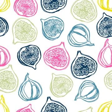 Fig fruits Stock Illustration