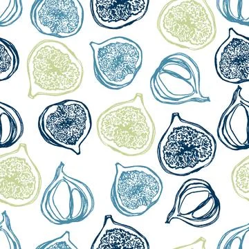 Fig fruits Stock Illustration