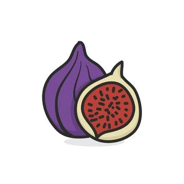 Fig hand drawn illustration flat color Stock Illustration