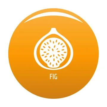 Fig icon vector orange Stock Illustration