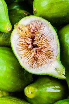 Fig interior Stock Photos
