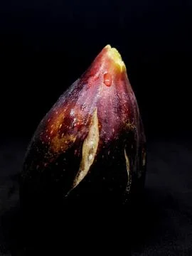 Fig isolated on black background Stock Photos