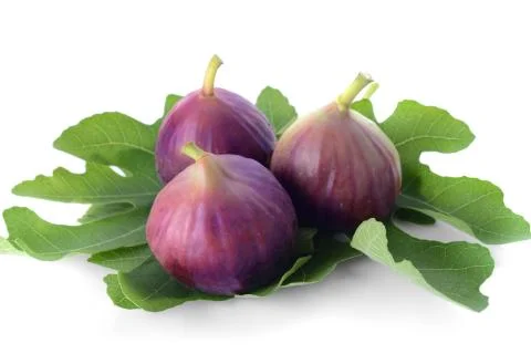 Fig isolated on white background. Stock Photos