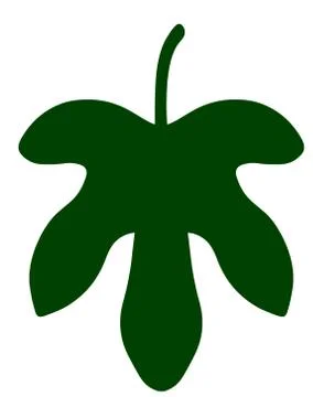 Fig Leaf Stock Illustration