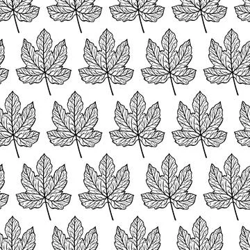 Fig leaf seamless vector pattern. Botanical element with veins, on the stem イラスト素材