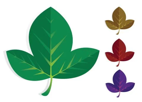 Fig leaf set Stock Illustration