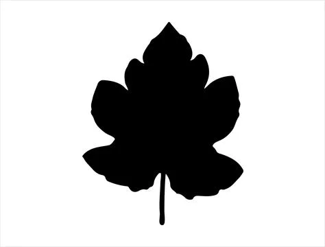 Fig leaf silhouette vector art white background Stock Illustration