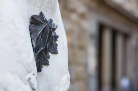 Fig-leaf on a statue, Piazza della Signoria in Florence, Italy. Stock Photos